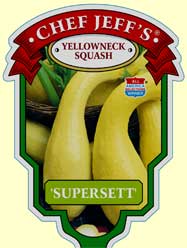 Supersett Yellowneck Squash