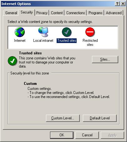 IE Internet Security Options