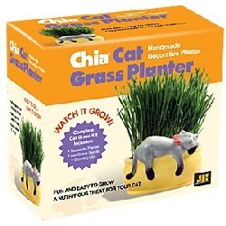 Chia Cat Grass Planter