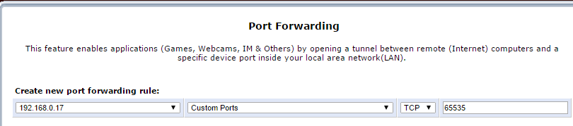 Port Forwarding - Custom