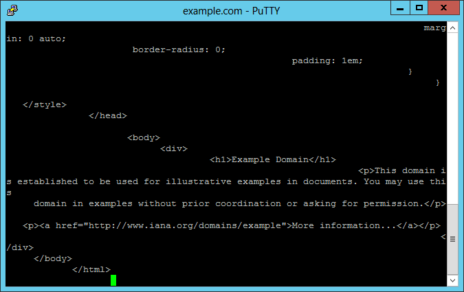 PuTTY example.com output