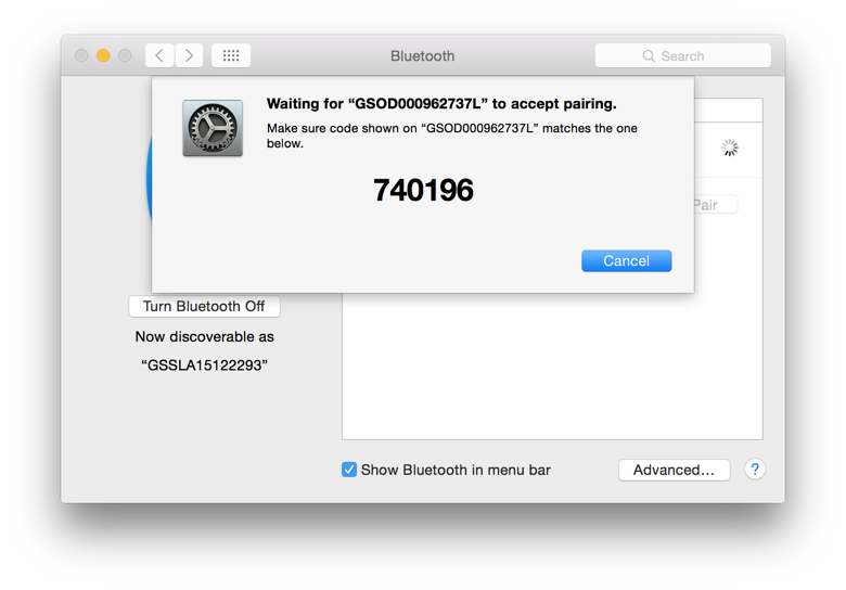 Awaiting Bluetooth 
Pairing Acceptance