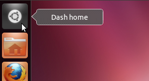 Dash Home button