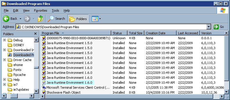 Downloaded program files list
in Explorer after Java update 11 installed