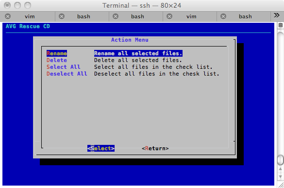 AVG Rescue CD action proceed