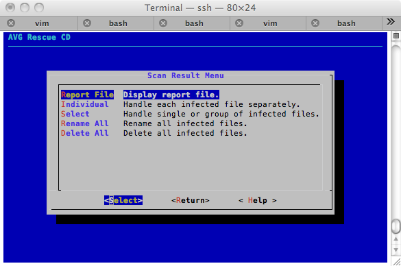 AVG Rescue CD scan result menu
