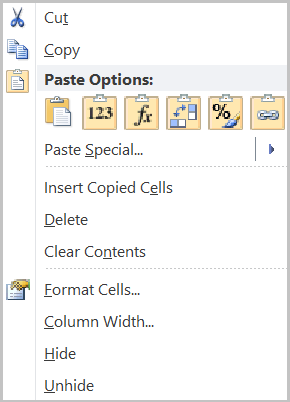 Excel Paste Options